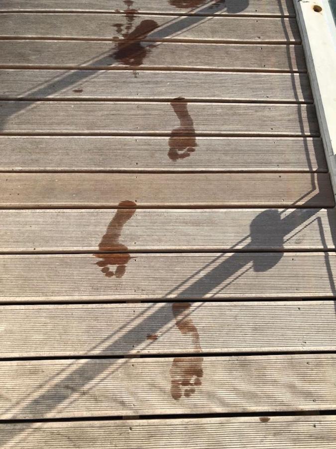 Hausboot Elandi Villa Bitterfeld-Wolfen Eksteriør bilde